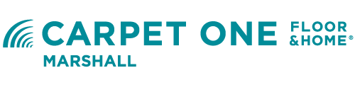 Carpet One Logo